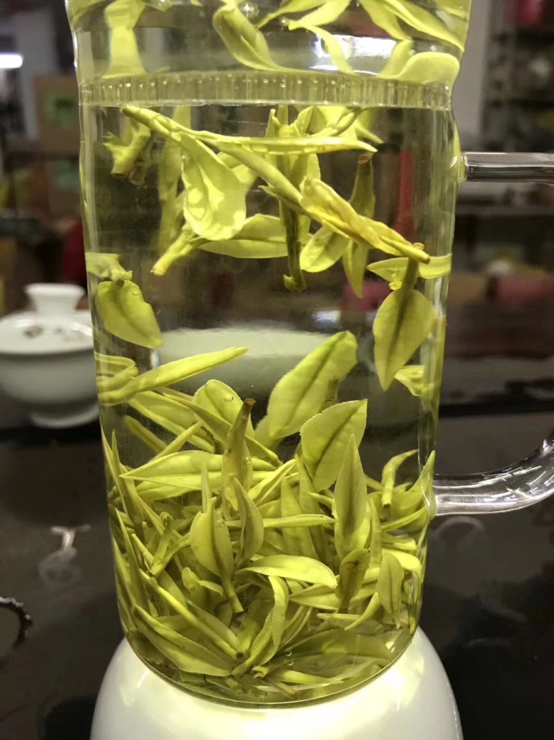 第一安吉白茶