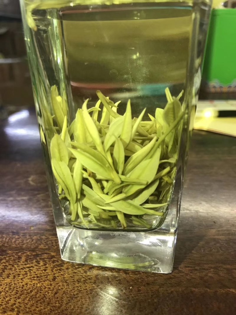 第一安吉白茶