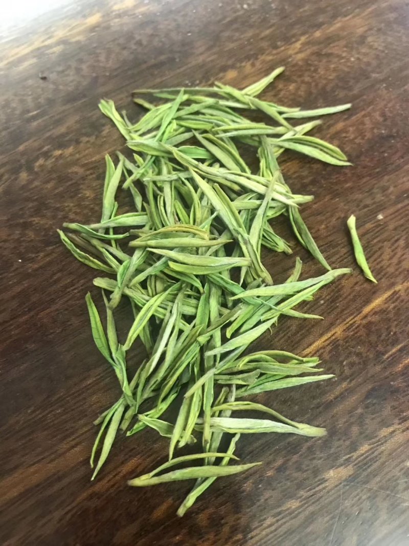 第一安吉白茶