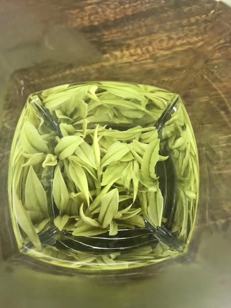 第一安吉白茶