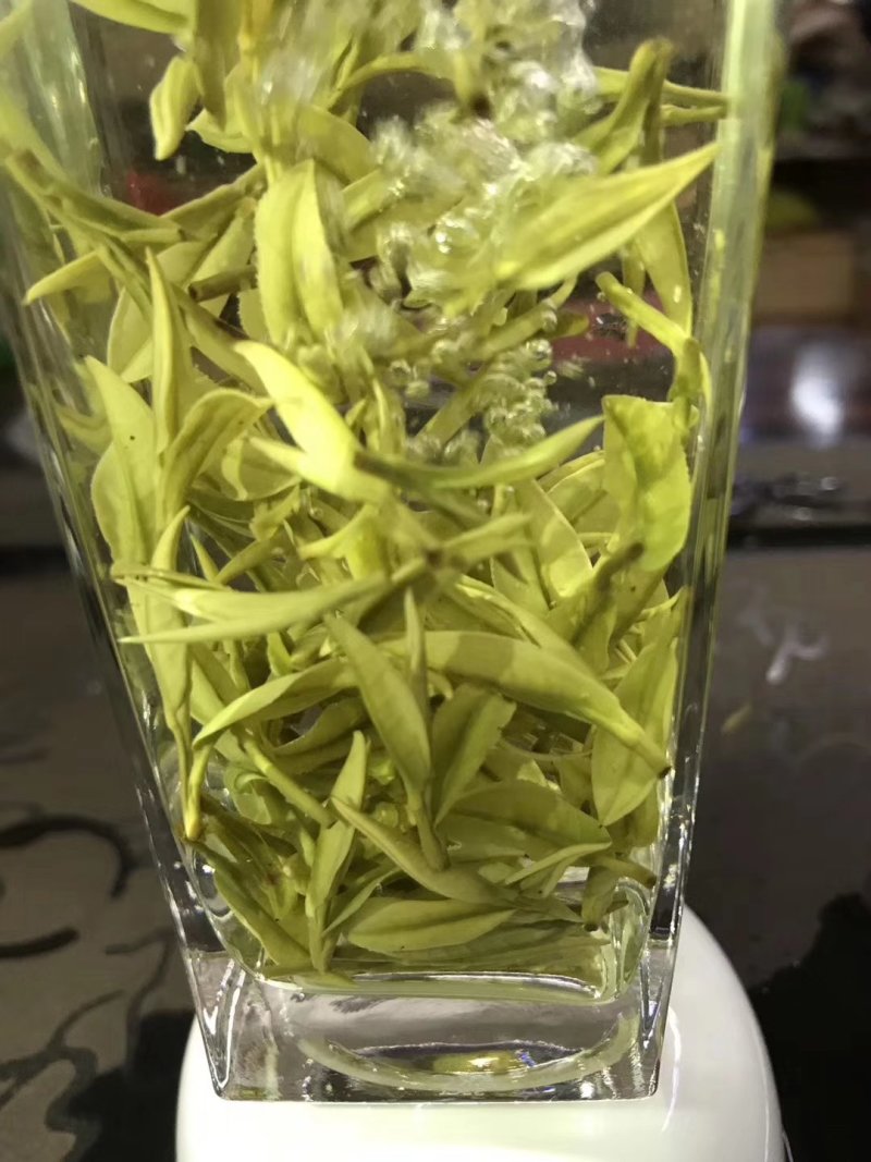 第一安吉白茶