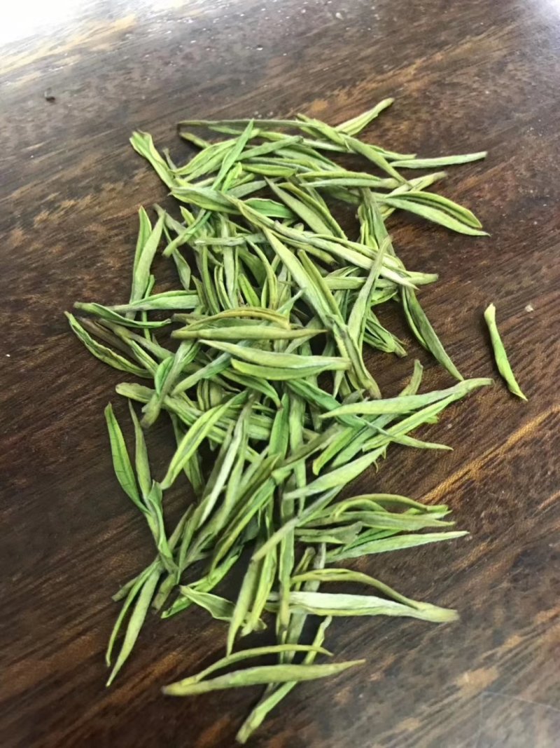 第一安吉白茶
