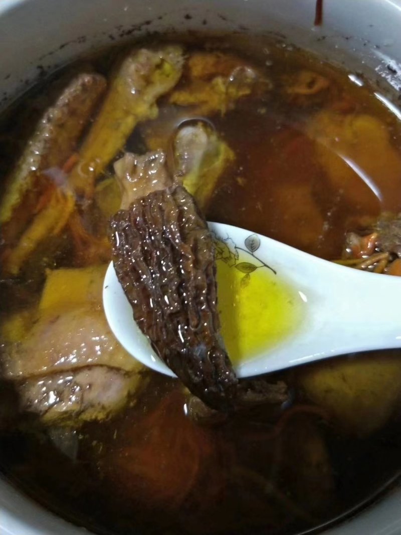 羊肚菌