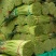 【好货推荐】蒜薹精品红帽蒜薹头茬货货源足欢迎咨询