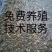 台湾泥鳅苗小泥鳅泥鳅小泥鳅苗