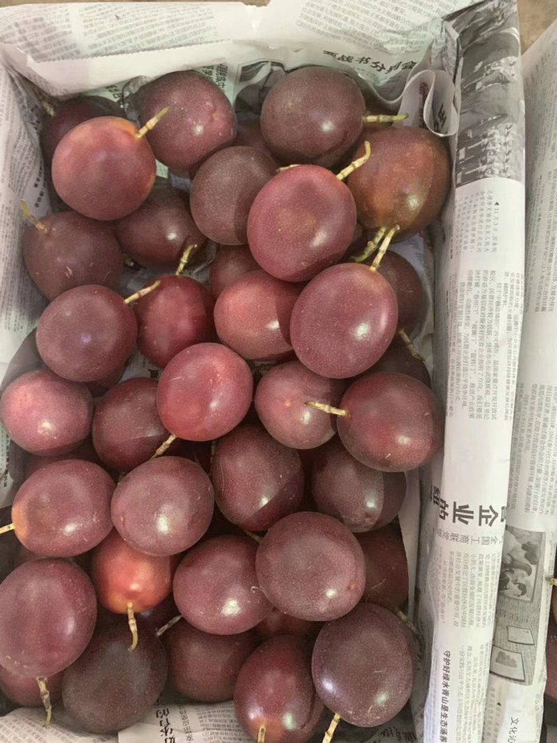 百香果