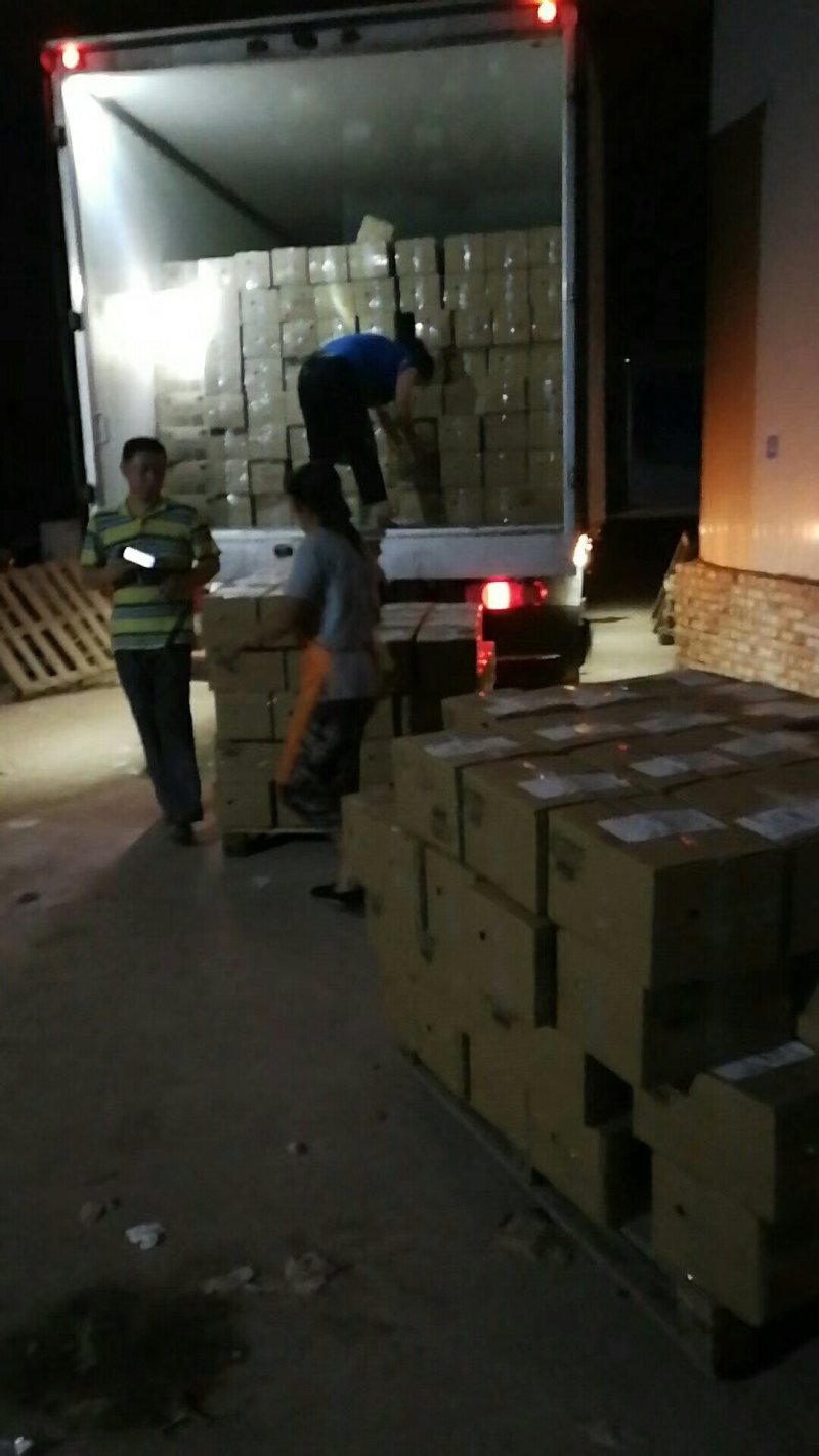 全年供应，支持一件代发。需要亲下单。大量批发。