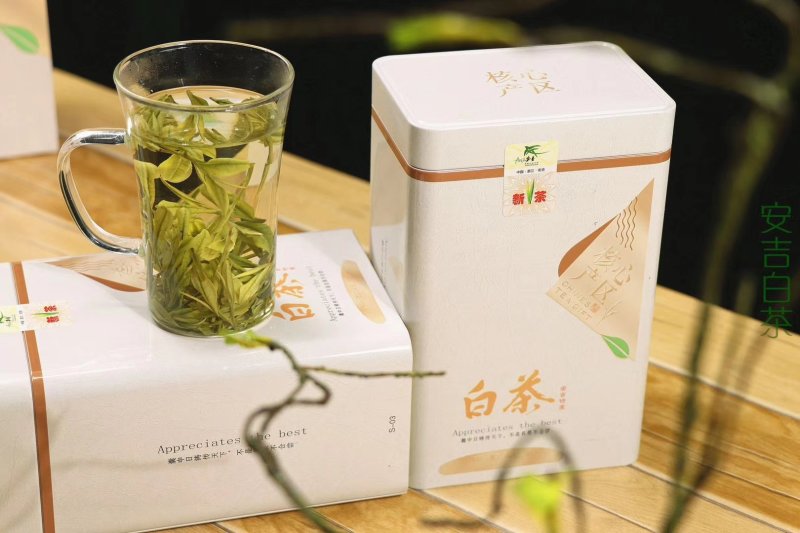 安吉白茶～