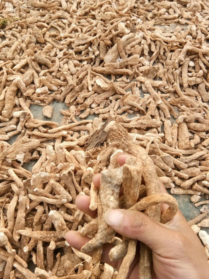 山药
