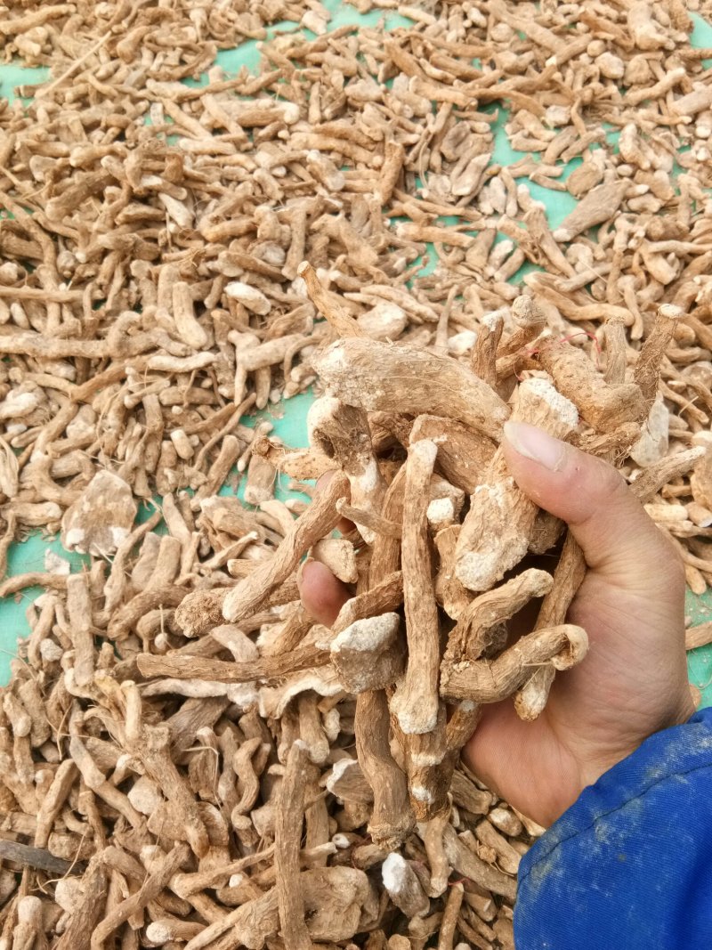 山药