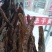 新疆土特产野生锁阳