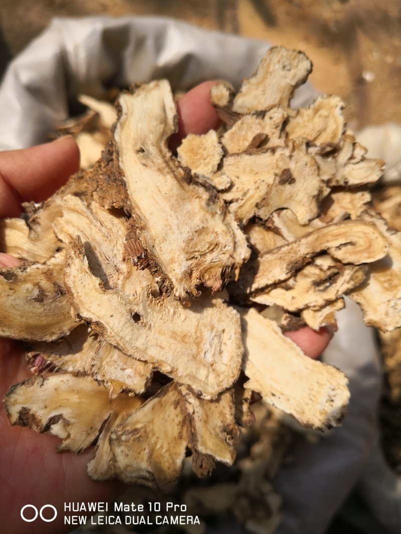 当归大头片甘肃干货含量足无硫天然晒干2斤起包邮
