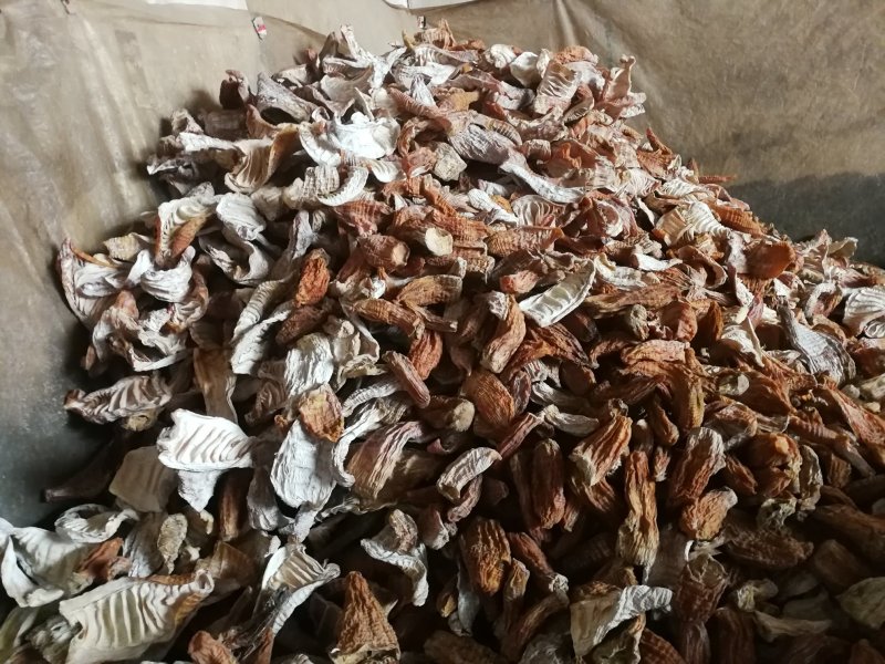 楠竹笋笋干精品玉兰片，无硫熏烤，产地直销