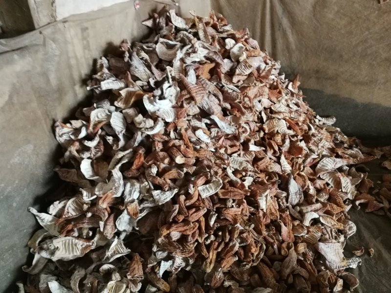 楠竹笋笋干精品玉兰片，无硫熏烤，产地直销