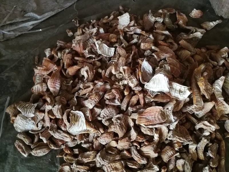 楠竹笋笋干精品玉兰片，无硫熏烤，产地直销
