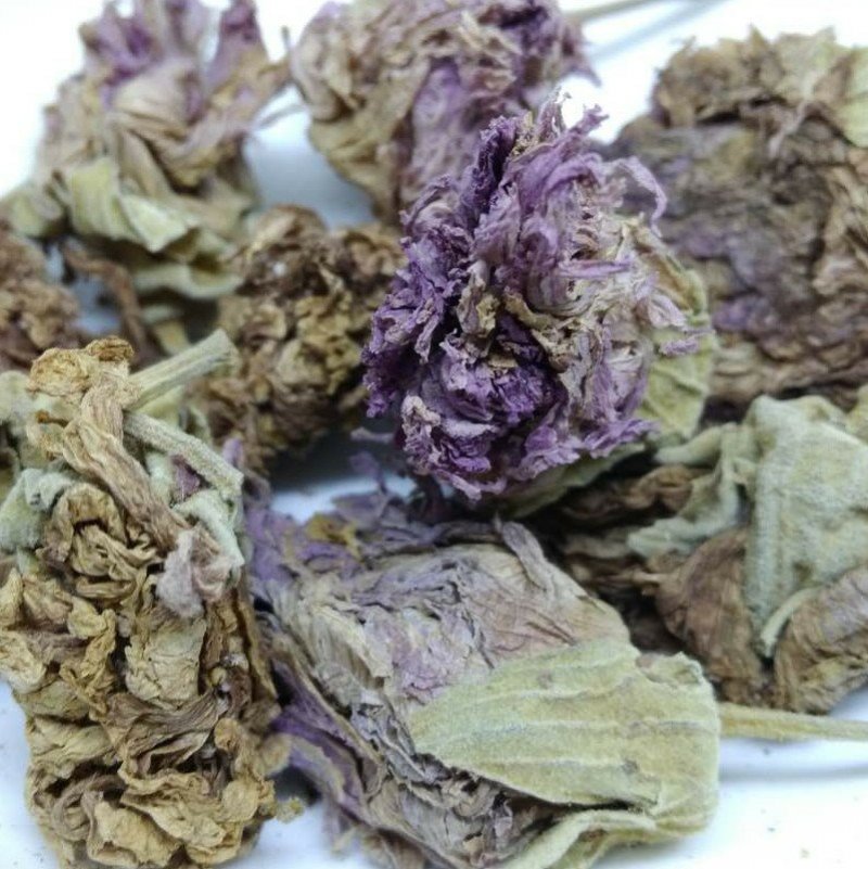 芙蓉花木芙蓉花拒霜花无硫净货散装花茶批发零售中药材