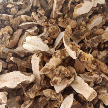 土茯苓（南方的白肉土茯苓）