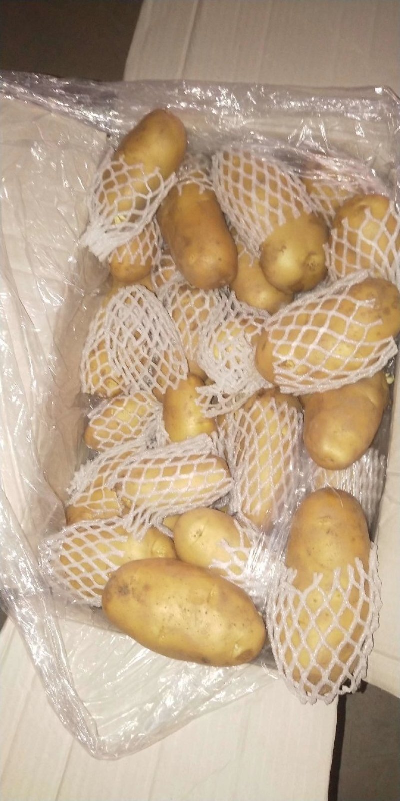 荷兰十五土豆3两以上通货
