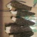 羊肚菌原产地一手采摘混干规格齐全品质保证
