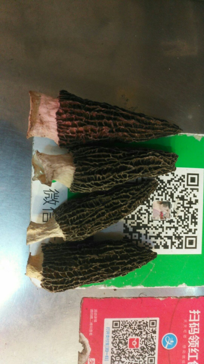 羊肚菌原产地一手采摘混干规格齐全品质保证