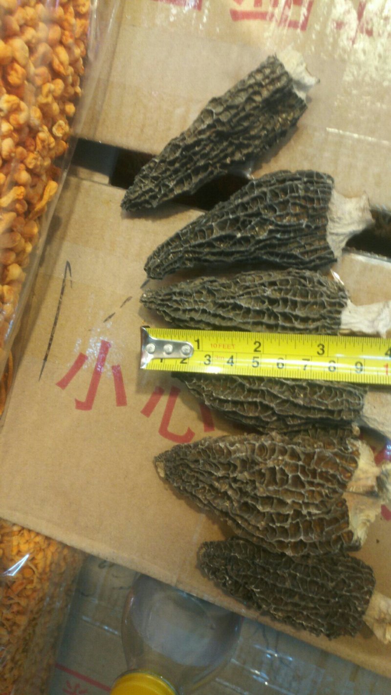 羊肚菌原产地一手采摘混干规格齐全品质保证