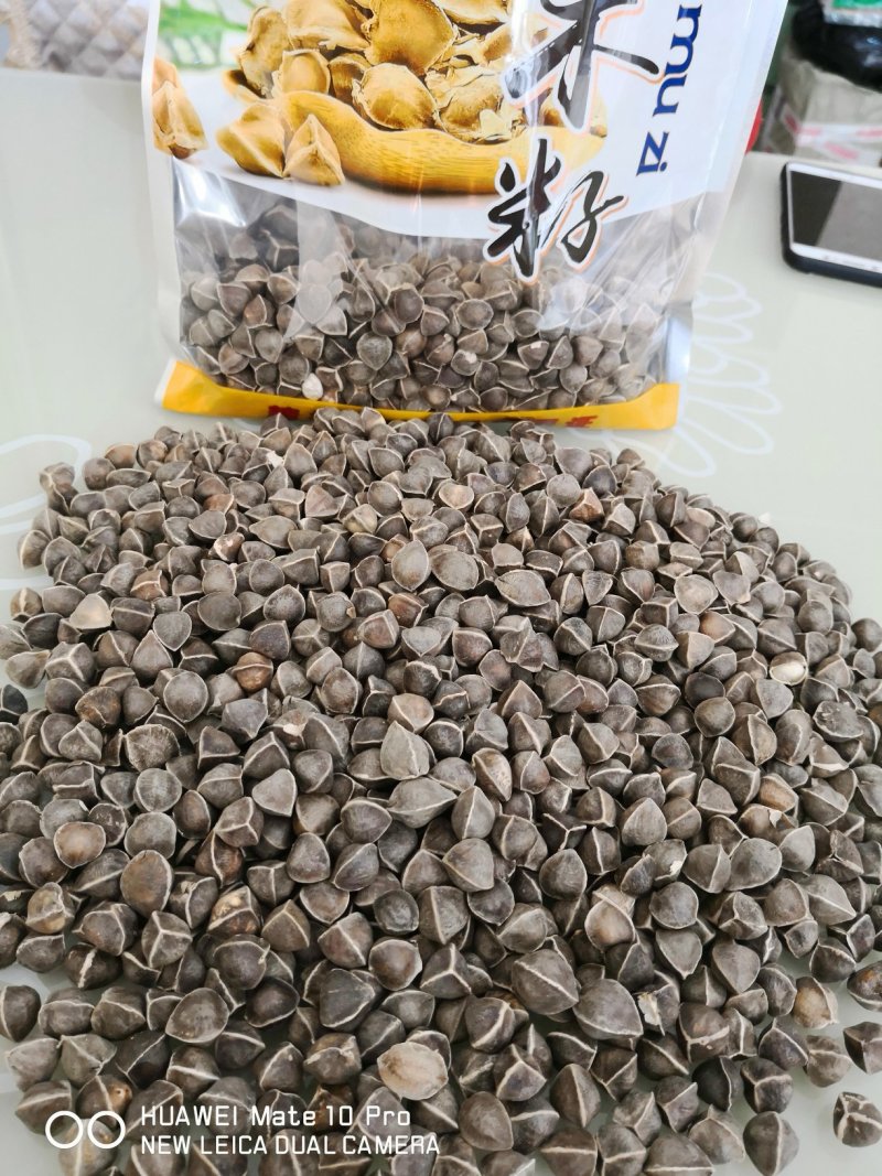 辣木籽干货大粒2斤起包邮量大从优