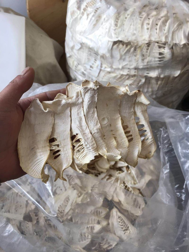 春笋小规格生片直接烘干笋干