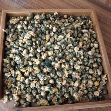 菊花茶