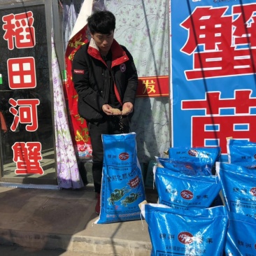 蟹料，大闸蟹饲料，河蟹料扣蟹毛蟹饲料小螃蟹开口料高蛋白