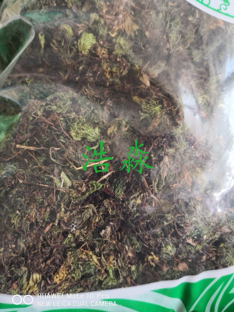 回心草干货2斤起包邮量大从优