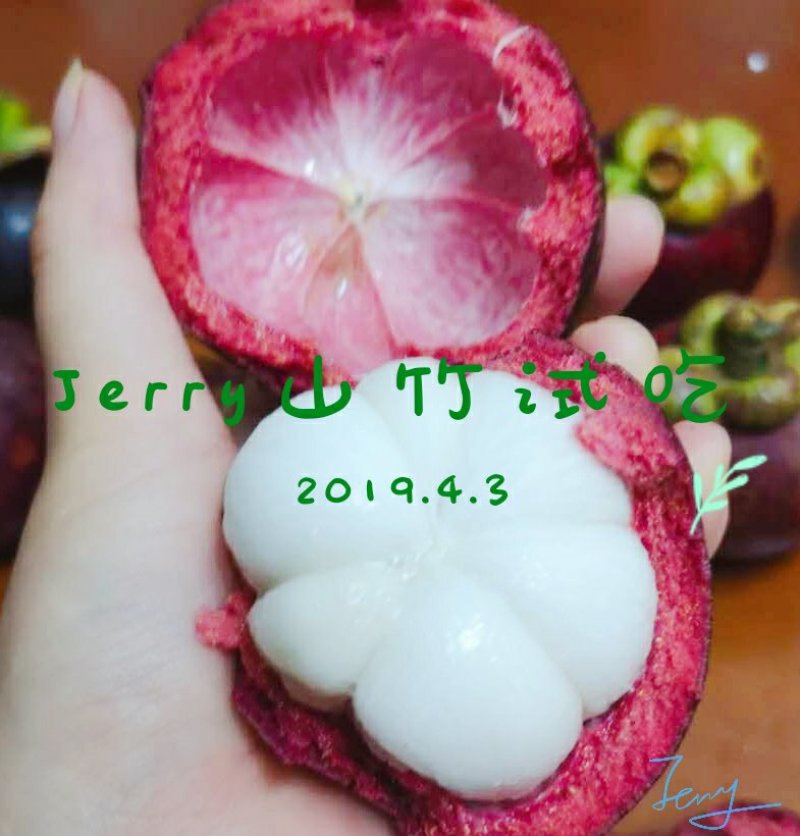 山竹一件代发