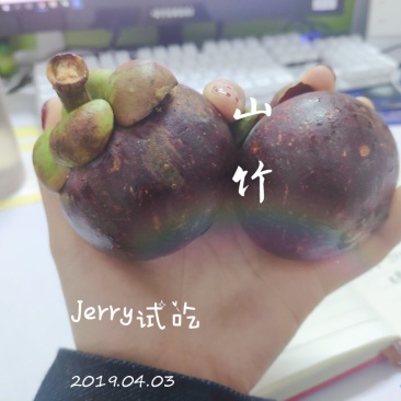 山竹一件代发