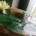 迷你硬币睡莲海尔芙拉，精品小睡莲，盆栽种植