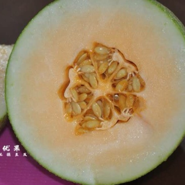 海南西州蜜瓜一件代发