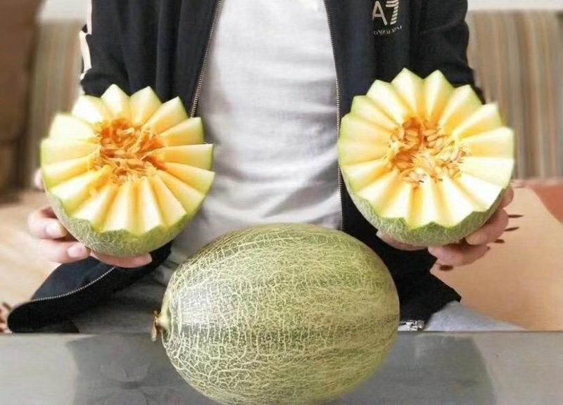海南西州蜜瓜一件代发
