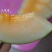 海南西州蜜瓜一件代发