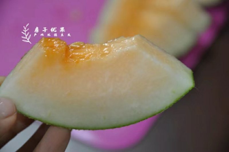 海南西州蜜瓜一件代发
