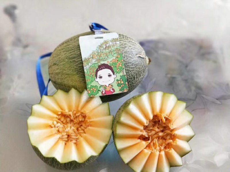 海南西州蜜瓜一件代发