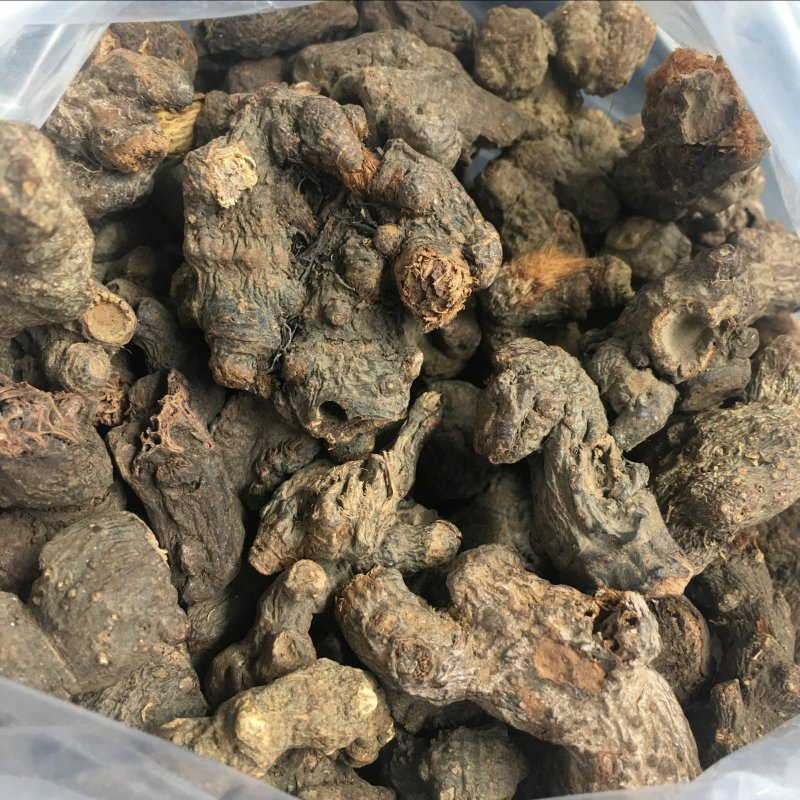 落新妇络新妇无硫净货保正品批发零售冷背中药材