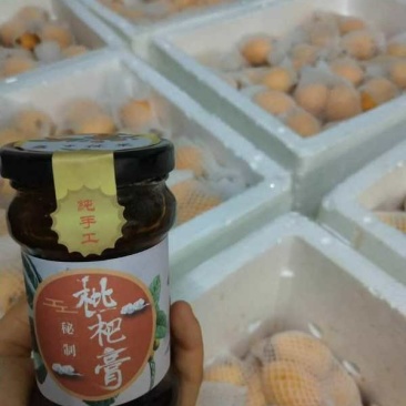 枇杷膏一瓶包邮