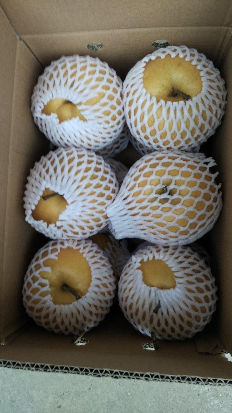 富硒梨纸箱600g以上