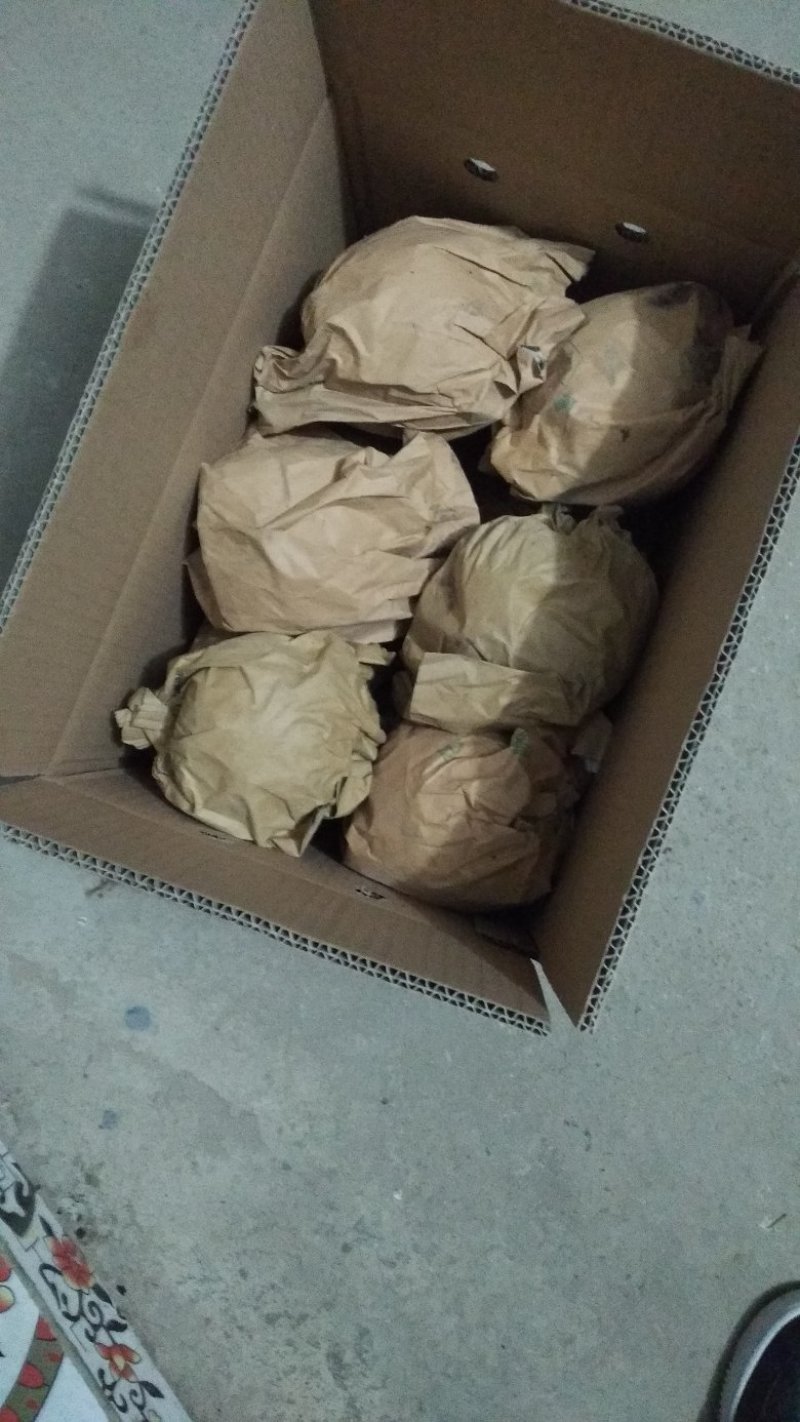 富硒梨纸箱600g以上