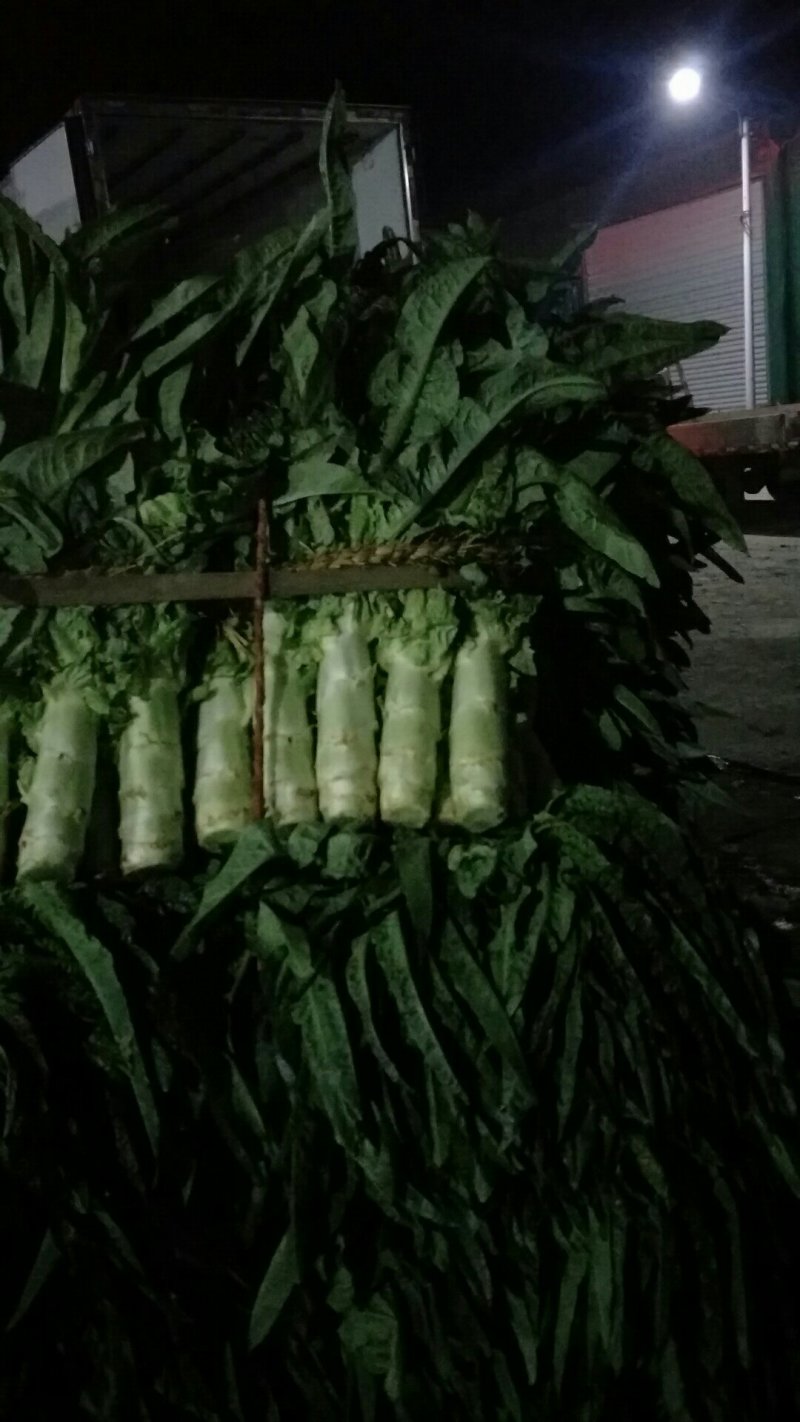 基地货源，产地直销，无空心，无花头，质量保证