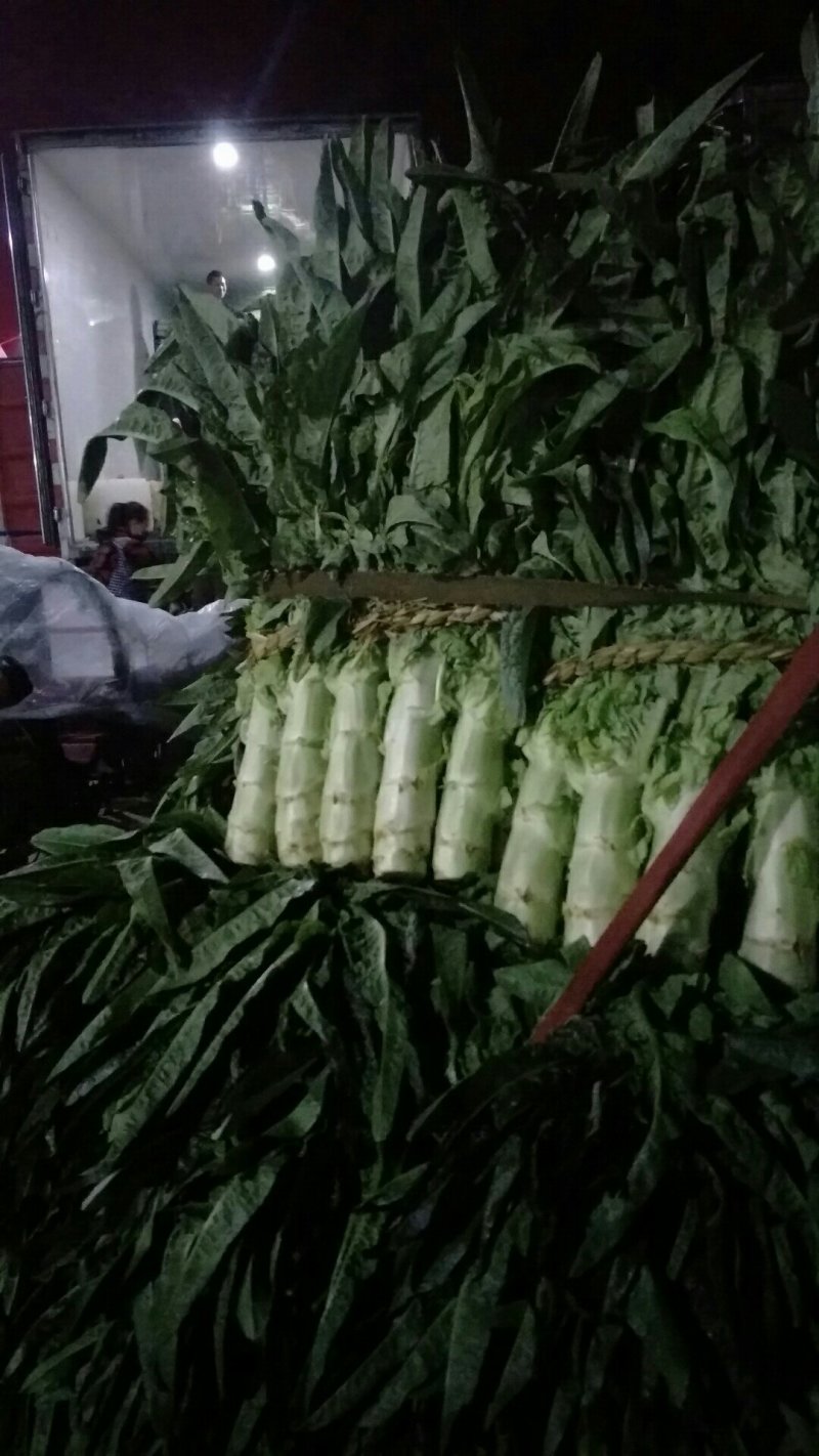 基地货源，产地直销，无空心，无花头，质量保证
