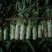 基地货源，产地直销，无空心，无花头，质量保证