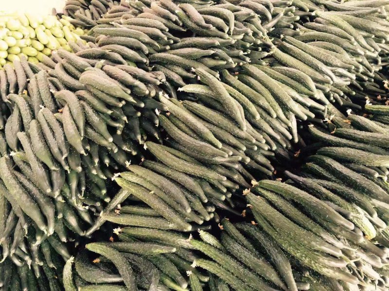 茄子，西红柿，红椒，黄瓜，青椒