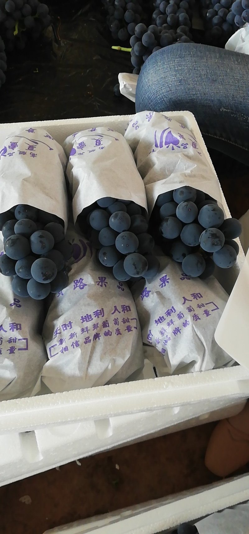 夏黑葡萄