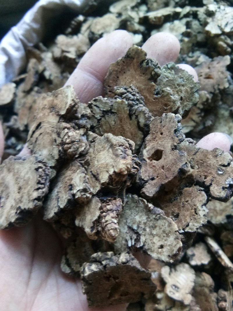 中药材川芎四川散装新货批发零售