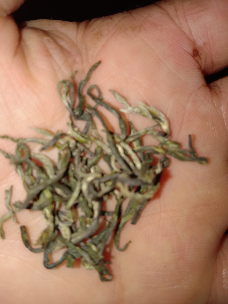 古丈毛尖黄金茶仙枣茶
