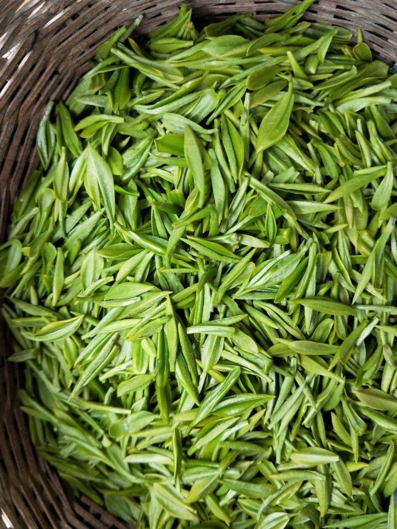 汉中仙毫，红茶，绿茶
